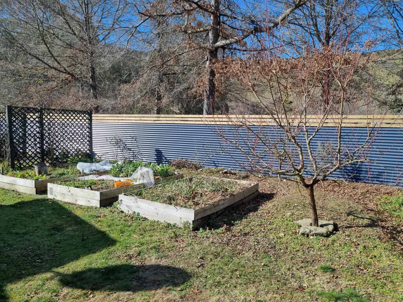 Blue Coloursteel with Trellis